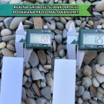 Szklarnia Ogrodowa Pomidor Premium poliwęglan 210x271
