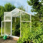 Pomidor Premium poliwęglan 210x606