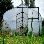 PREMIUM PLUS 300x600 zielona stalowa