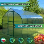 PREMIUM PLUS 300x600 zielona stalowa