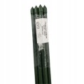 4b230fca46978bb4fb56fc306bde.jpg