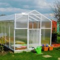 Pomidor Premium poliwęglan 210x606