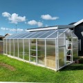 Pomidor Premium poliwęglan 210x606